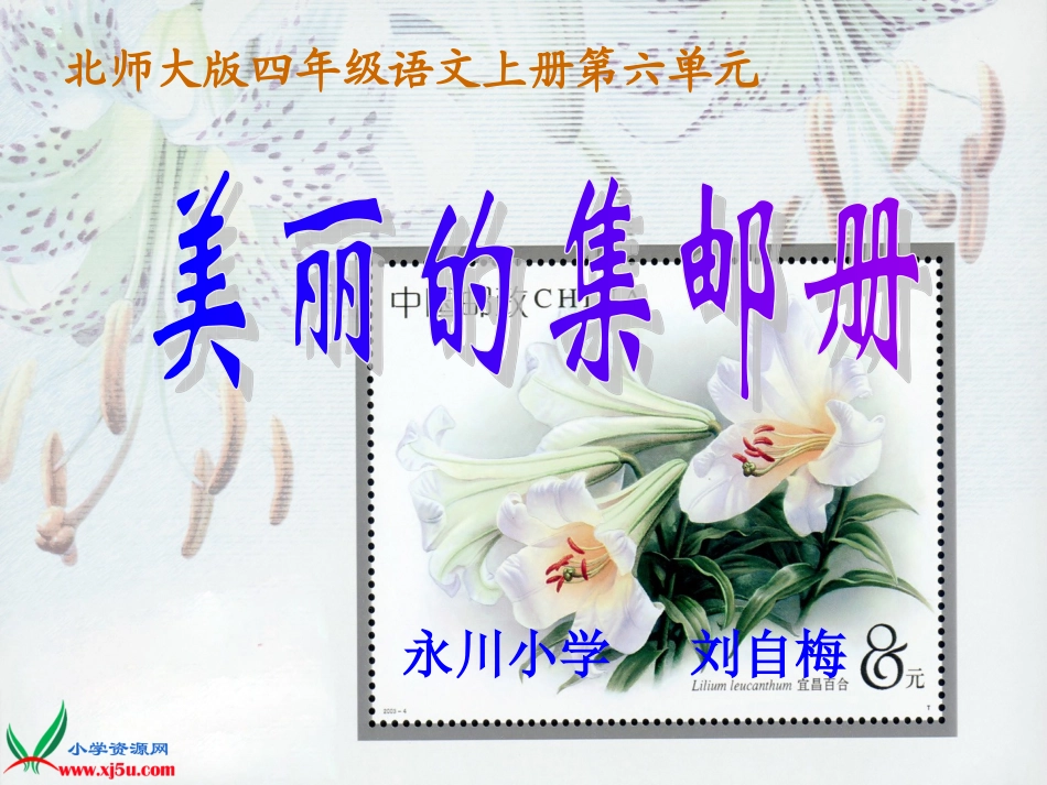 （北师大版）四年级语文上册课件美丽的集邮册_第1页