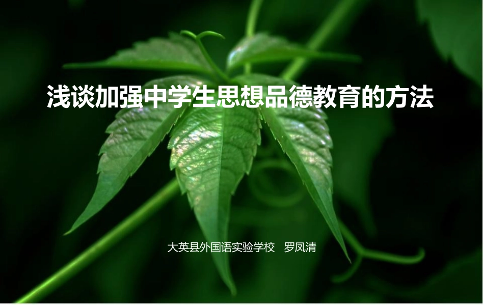 加强青少年学生思想品德教育_第1页