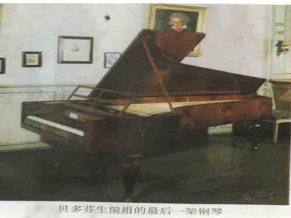 音乐巨人贝多芬完整版_第3页