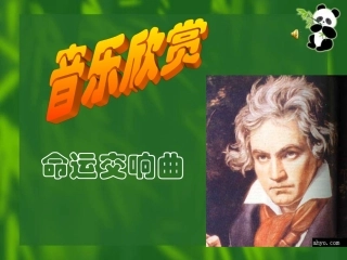 音乐巨人贝多芬完整版