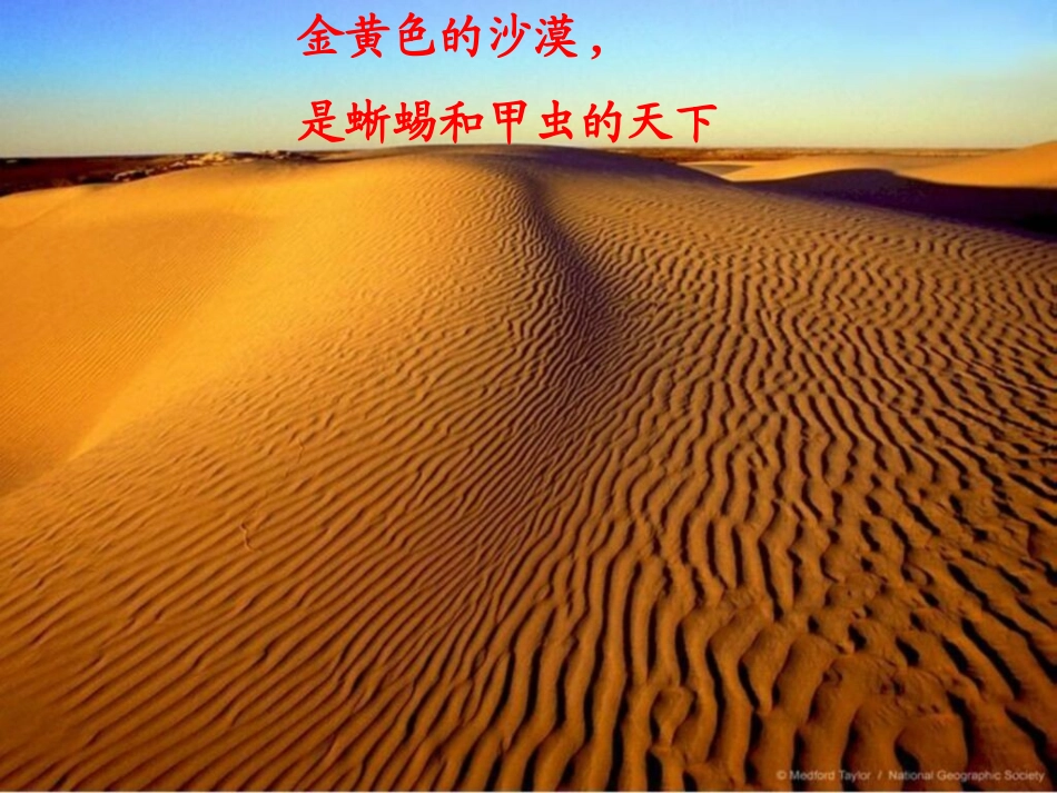 和我们一起享受春天_第3页