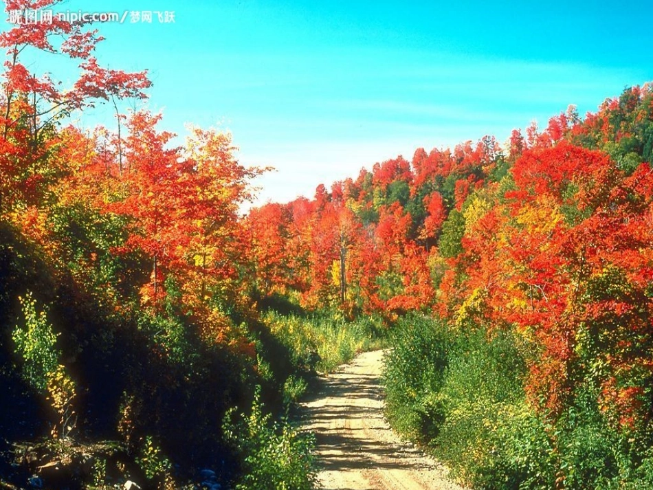 秋天的雨朗诵_第3页