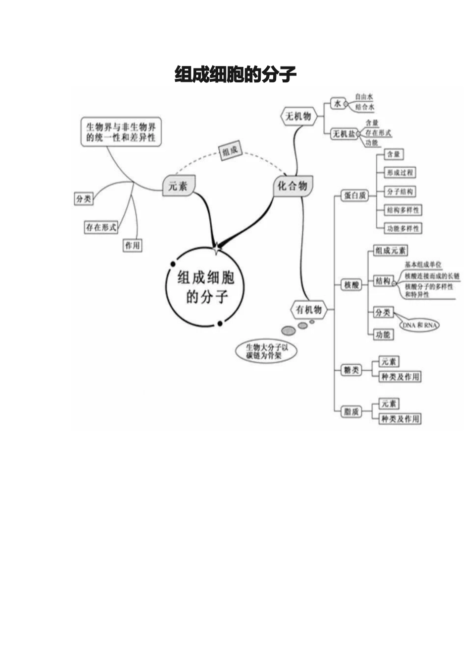 组成细胞的分子_第1页