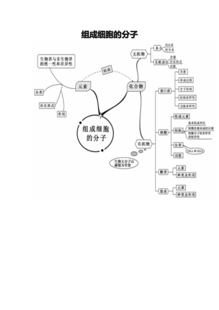 组成细胞的分子