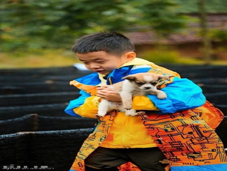 我喜欢的动物作文教学_第3页