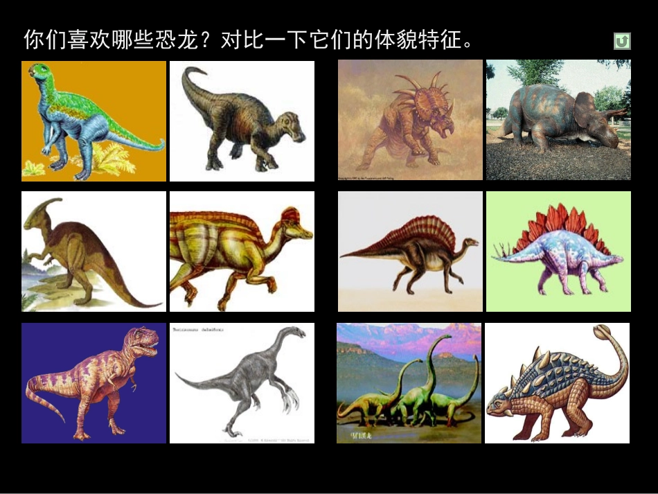 美术课件《恐龙世界》_第2页