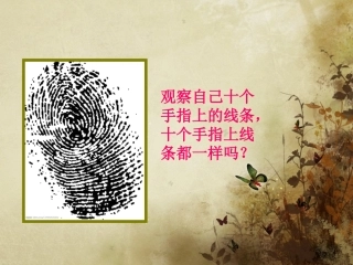 《线的秘密》活动一-副本