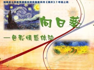 向日葵（党浩）