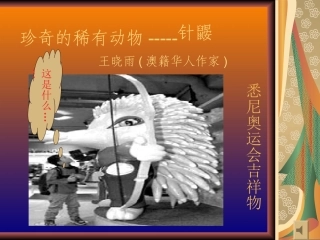 珍奇的稀有动物-----针鼹