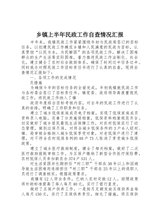 乡镇上半年民政工作自查情况汇报