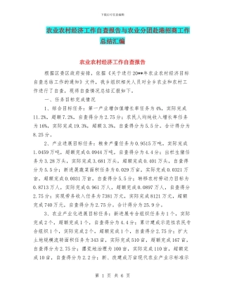 农业农村经济工作自查报告与农业分团赴港招商工作总结汇编