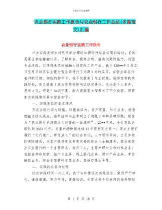 农业银行实践工作报告与农业银行工作总结汇编