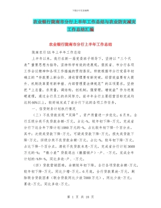 农业银行陇南市分行上半年工作总结与农业防灾减灾工作总结汇编