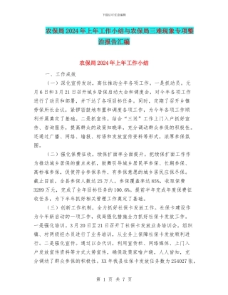 农保局2024年上年工作小结与农保局三难现象专项整治报告汇编