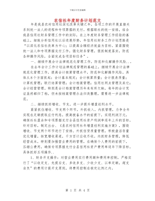 农信社年度财务计划范文