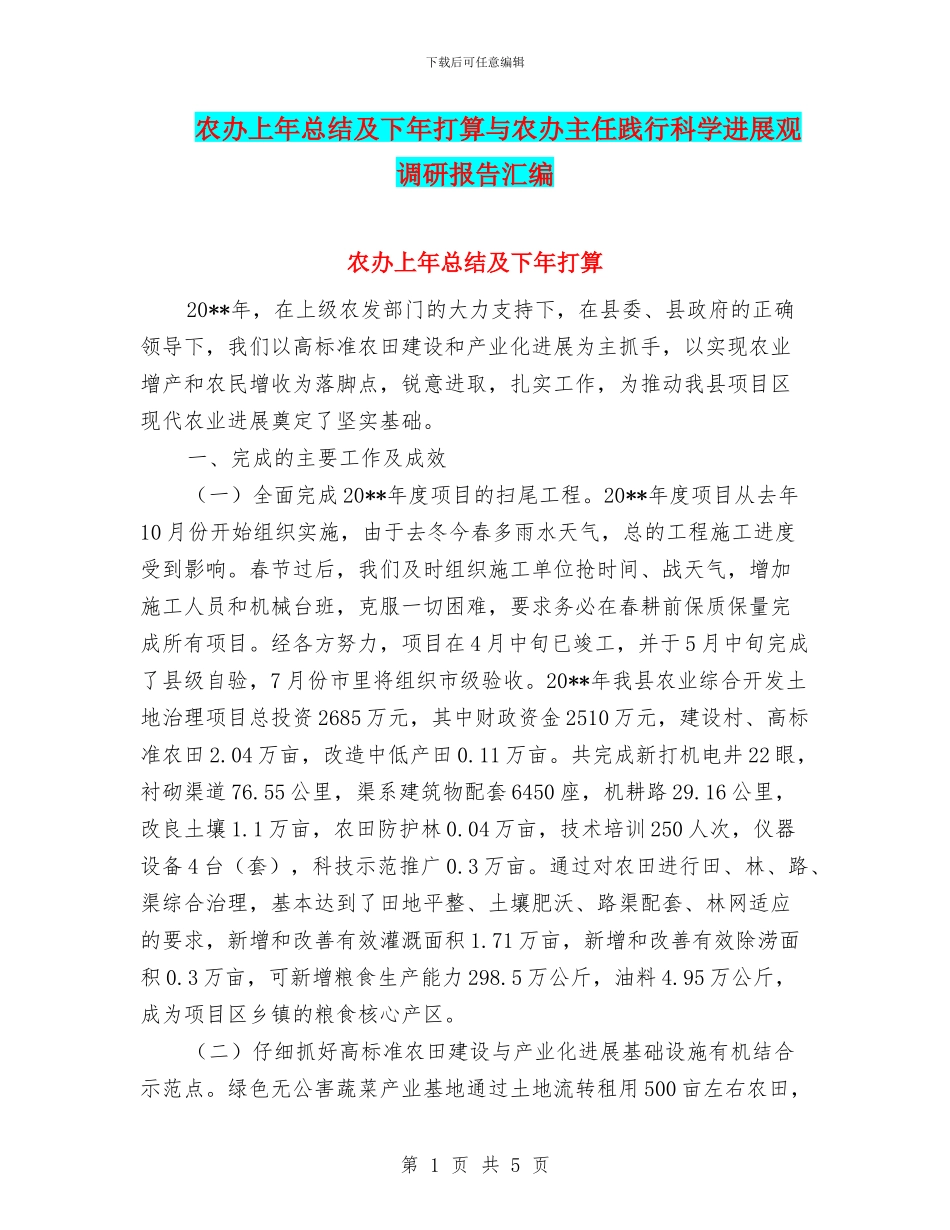 农办上年总结及下年打算与农办主任践行科学发展观调研报告汇编_第1页