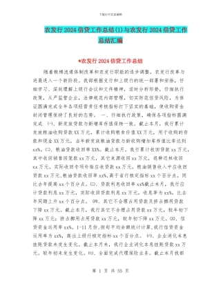 农发行2024信贷工作总结与农发行2024信贷工作总结汇编