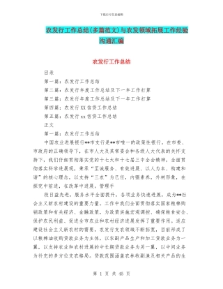 农发行工作总结与农发领域拓展工作经验交流汇编