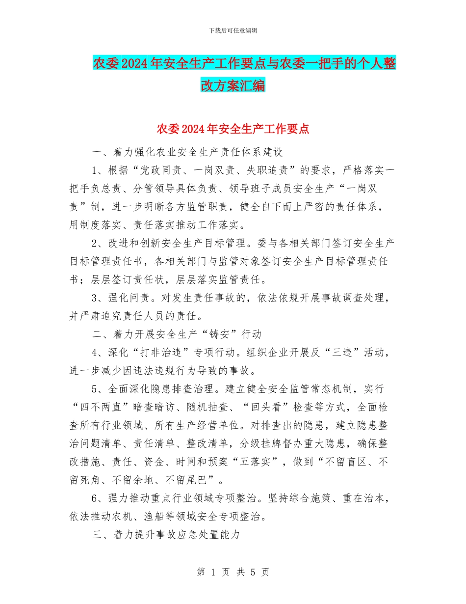 农委2024年安全生产工作要点与农委一把手的个人整改方案汇编_第1页