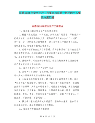 农委2024年安全生产工作要点与农委一把手的个人整改方案汇编