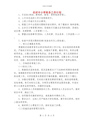 农村中小学财务工作计划