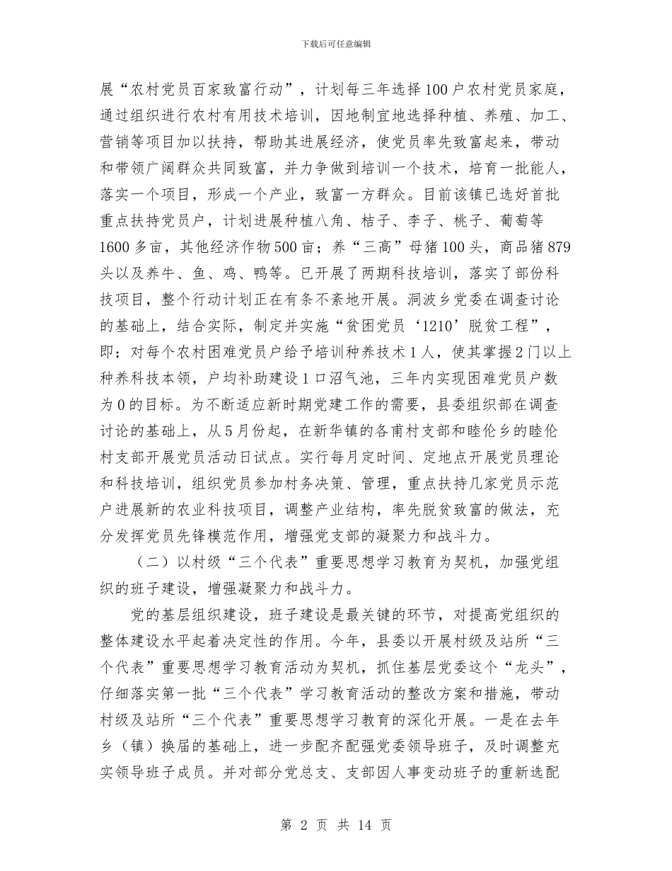 农村党组织建设工作总结与农村党组织建设考察材料汇编_第2页