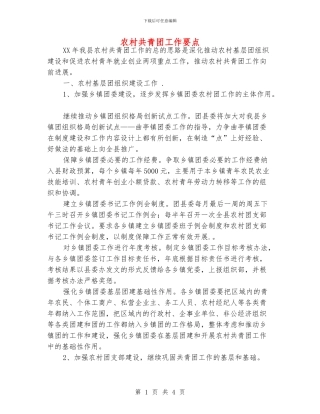 农村共青团工作要点