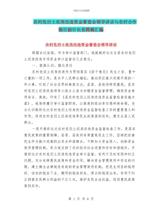 农村危旧土坯房改造资金督查会领导讲话与农村合作银行副行长竞聘稿汇编