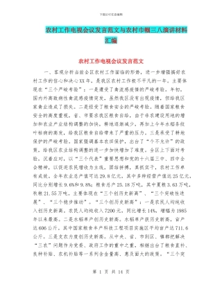 农村工作电视会议发言范文与农村巾帼三八演讲材料汇编