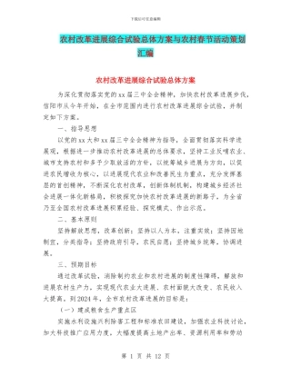 农村改革发展综合试验总体方案与农村春节活动策划汇编