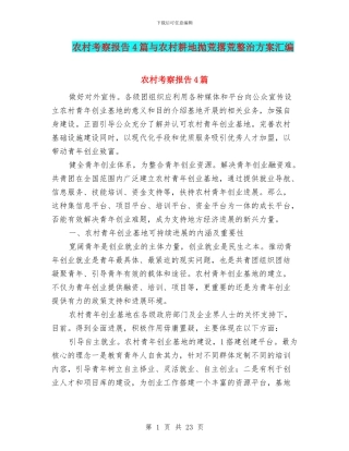 农村考察报告4篇与农村耕地抛荒撂荒整治方案汇编
