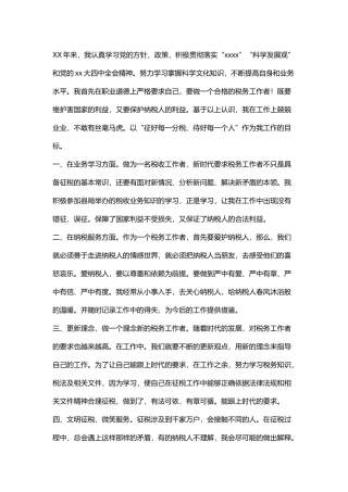 税务工作总结范文1