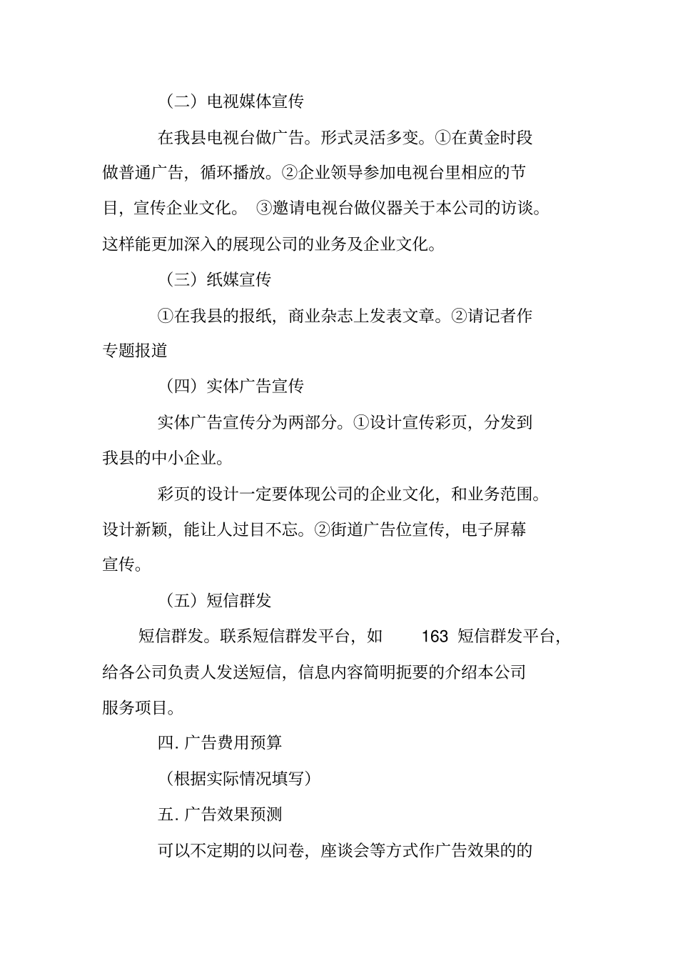 企业广告策划书_第3页