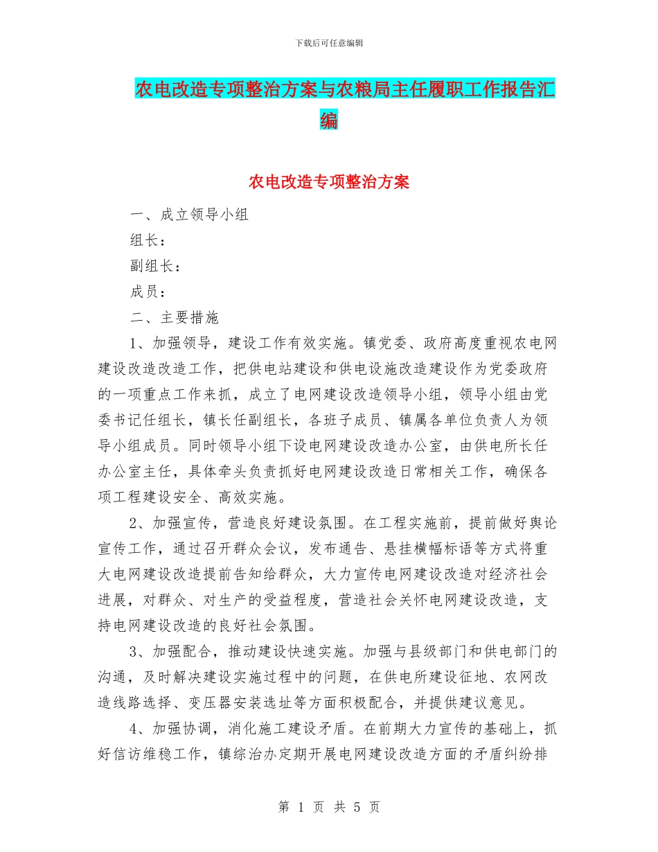 农电改造专项整治方案与农粮局主任履职工作报告汇编_第1页