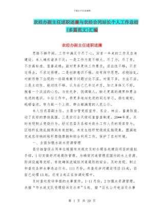 农经办副主任述职述廉与农经合同站长个人工作总结汇编