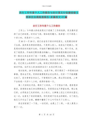农行工作年度个人工作报告与农行某支行创建省级文明单位自我检查报告汇编