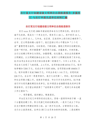 农行某支行创建省级文明单位自我检查报告与农行申报先进单位材料汇编