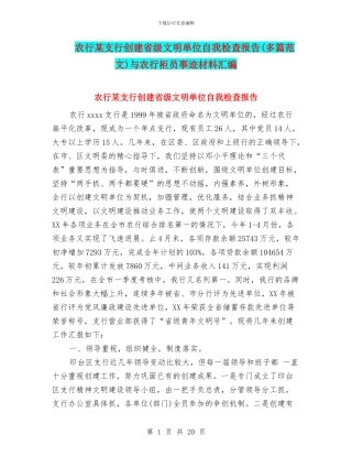 农行某支行创建省级文明单位自我检查报告与农行柜员事迹材料汇编