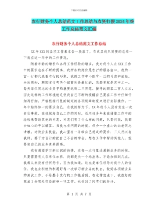 农行财务个人总结范文工作总结与农资打假2024年终工作总结范文汇编