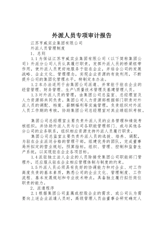 外派人员专项审计报告