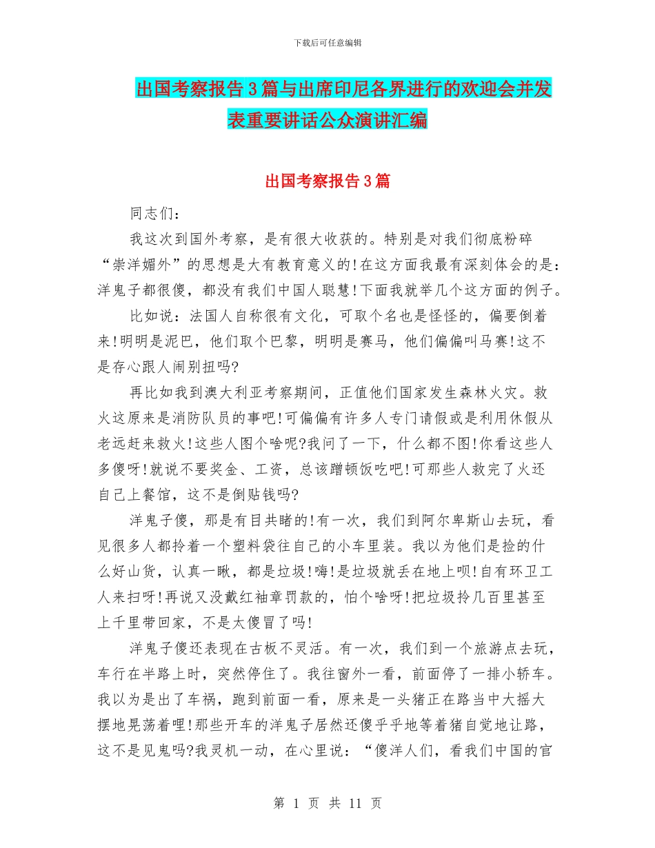 出国考察报告3篇与出席印尼各界举行的欢迎会并发表重要讲话公众演讲汇编_第1页