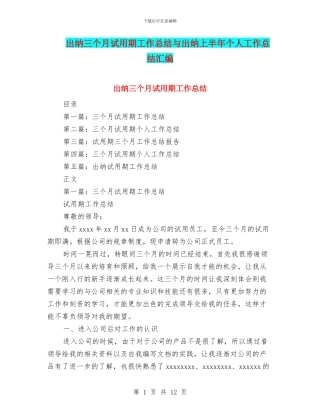 出纳三个月试用期工作总结与出纳上半年个人工作总结汇编