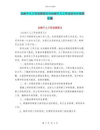 出纳个人工作安排范文与出纳个人工作总结与计划表汇编