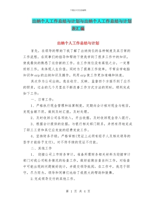 出纳个人工作总结与计划与出纳个人工作总结与计划表汇编