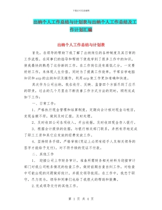 出纳个人工作总结与计划表与出纳个人工作总结及工作计划汇编