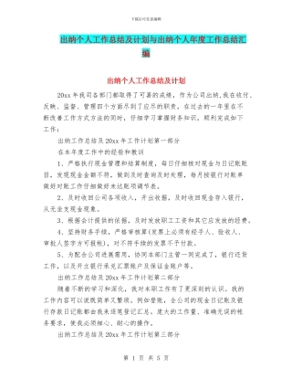 出纳个人工作总结及计划与出纳个人年度工作总结汇编