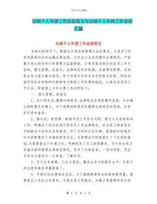 出纳个人年度工作总结范文与出纳个人年终工作总结汇编