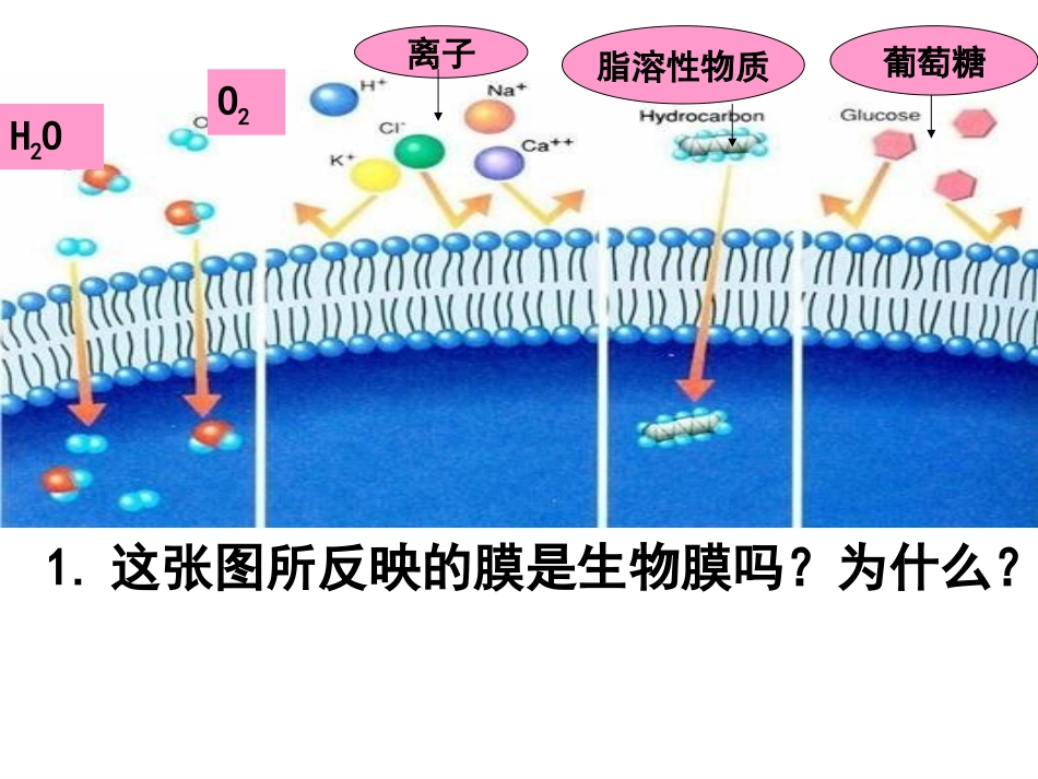 物质跨膜运输方式_第2页