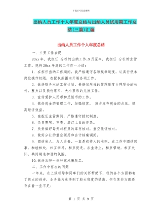 出纳人员工作个人年度总结与出纳人员试用期工作总结汇编
