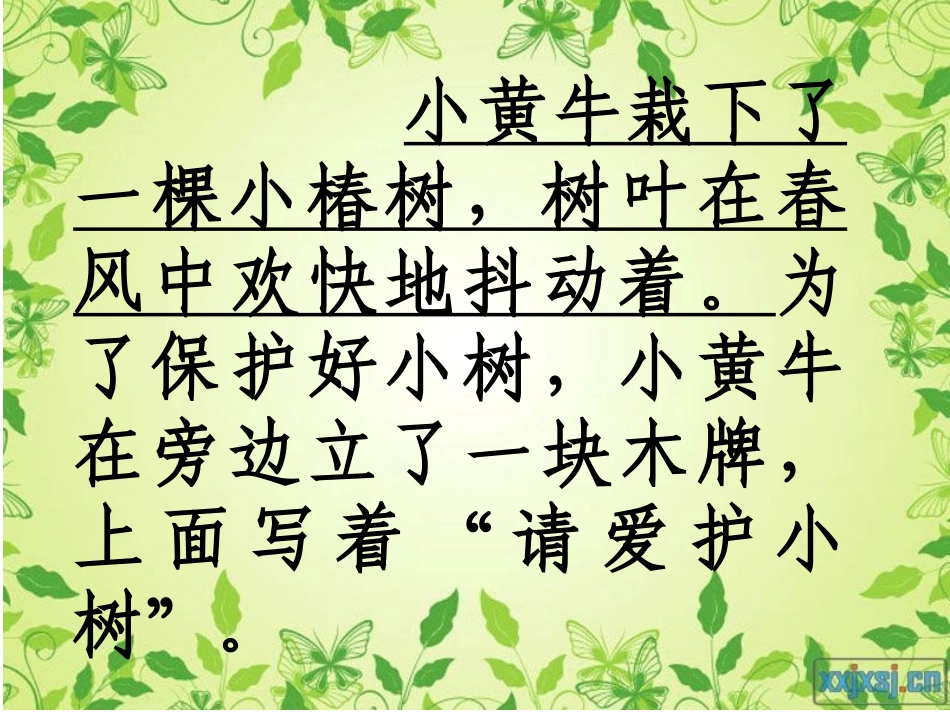 《一片树叶》何丽霞课件_第2页